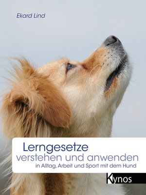 cover image of Lerngesetze verstehen und anwenden